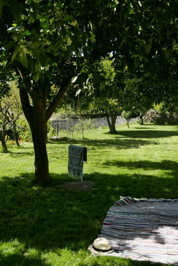 Casa Do Meio Em Quinta De Sao Pedro De Vir-A-Corca Monsanto Exterior foto