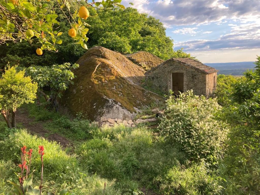Casa Do Meio Em Quinta De Sao Pedro De Vir-A-Corca Monsanto Exterior foto